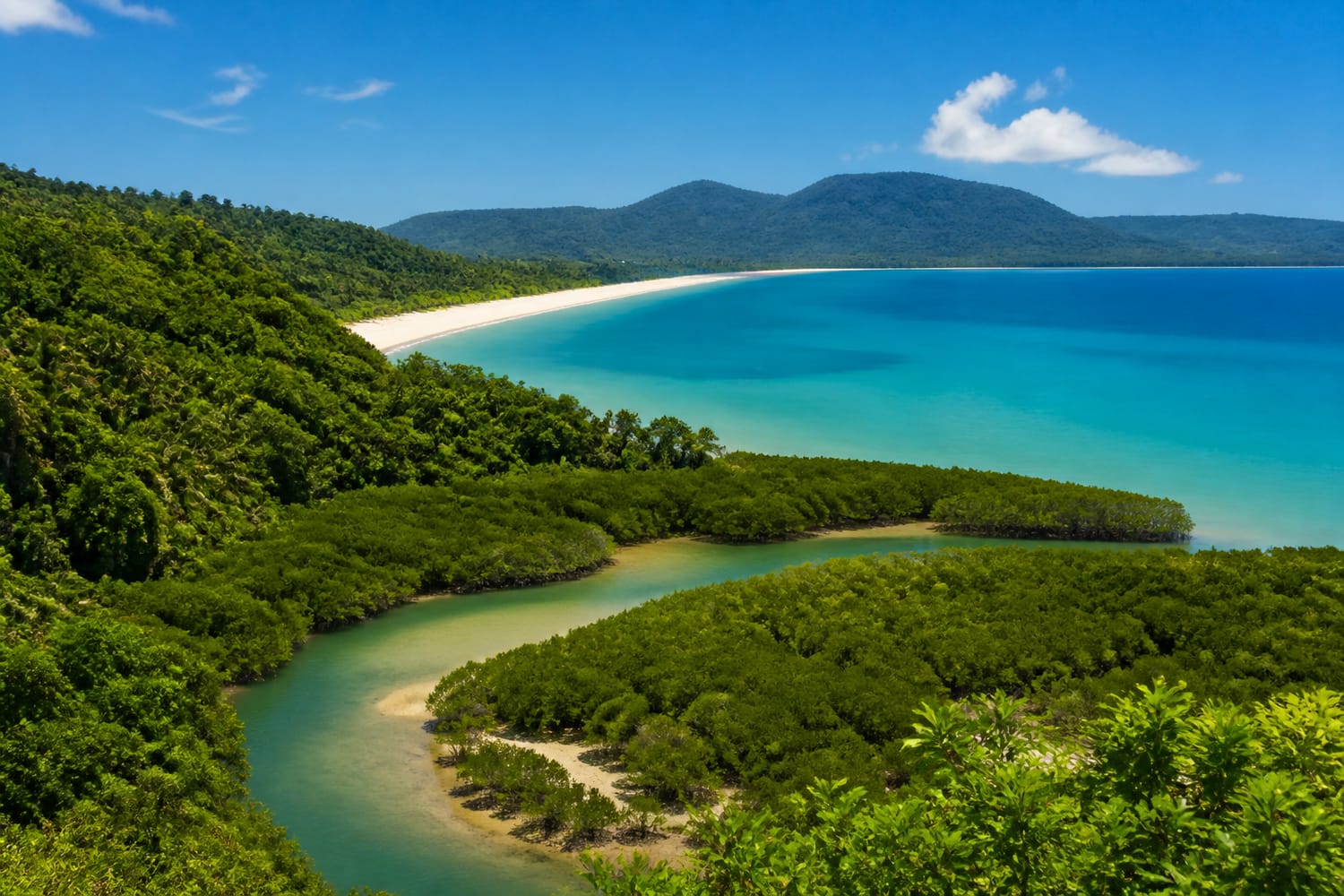 daintree-rainforest-and-the-great-barrier-reef-australia