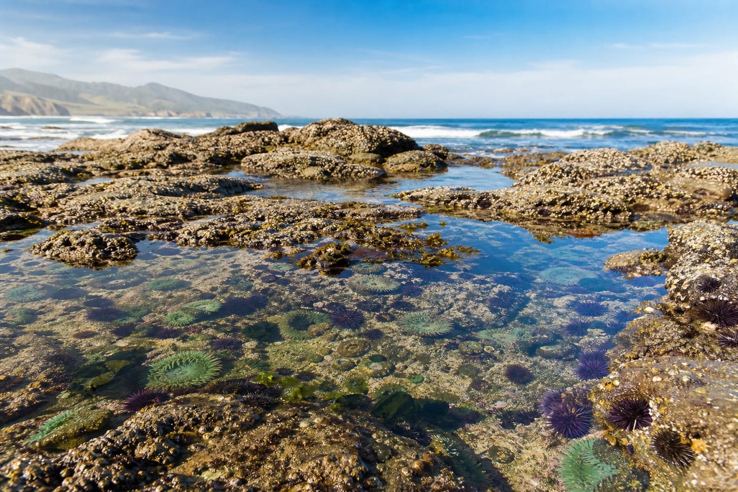 great-places-around-the-world-to-find-tide-pools