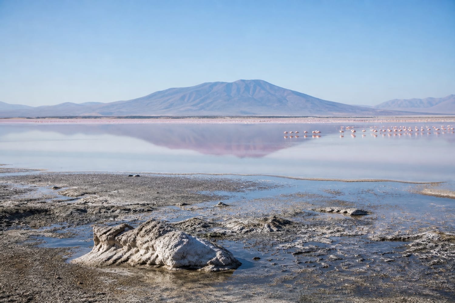 lake-natron-the-lake-that-turns-animals-to-stone