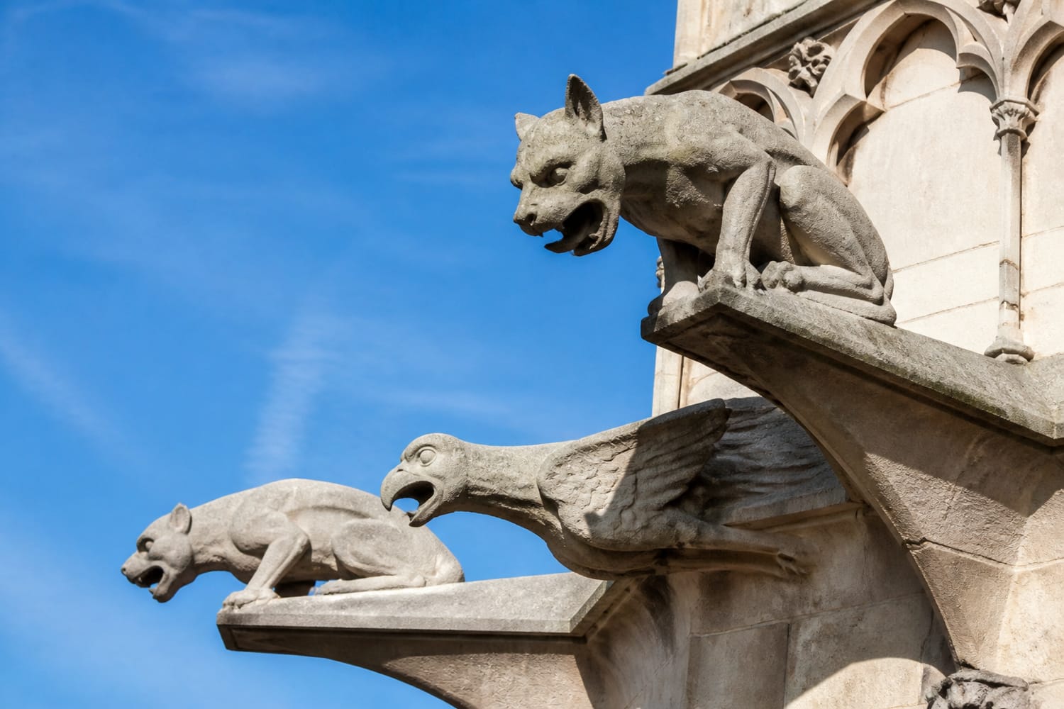 not-every-scary-cathedral-creature-is-a-gargoyle