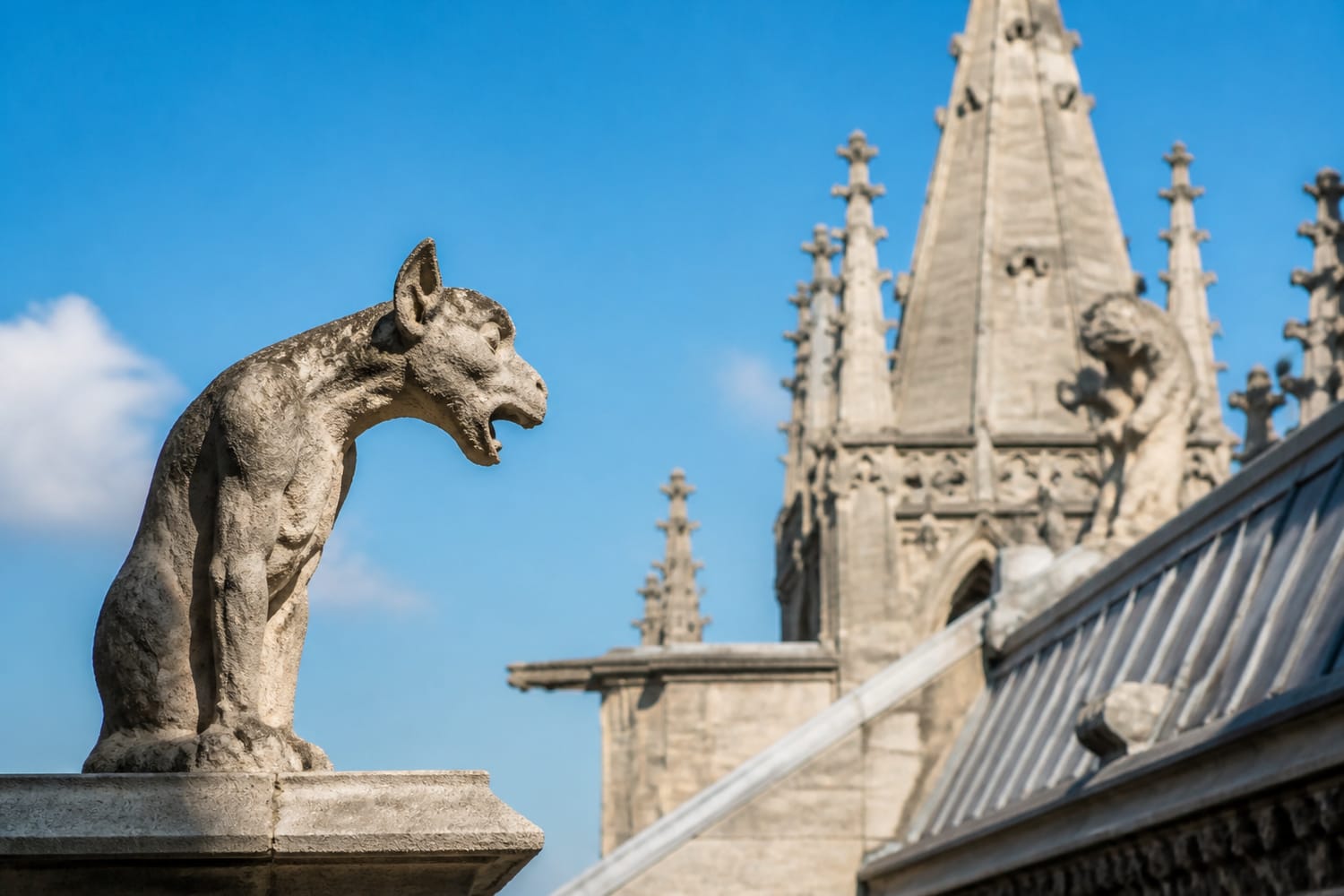 notre-dames-creatures-have-more-than-one-story