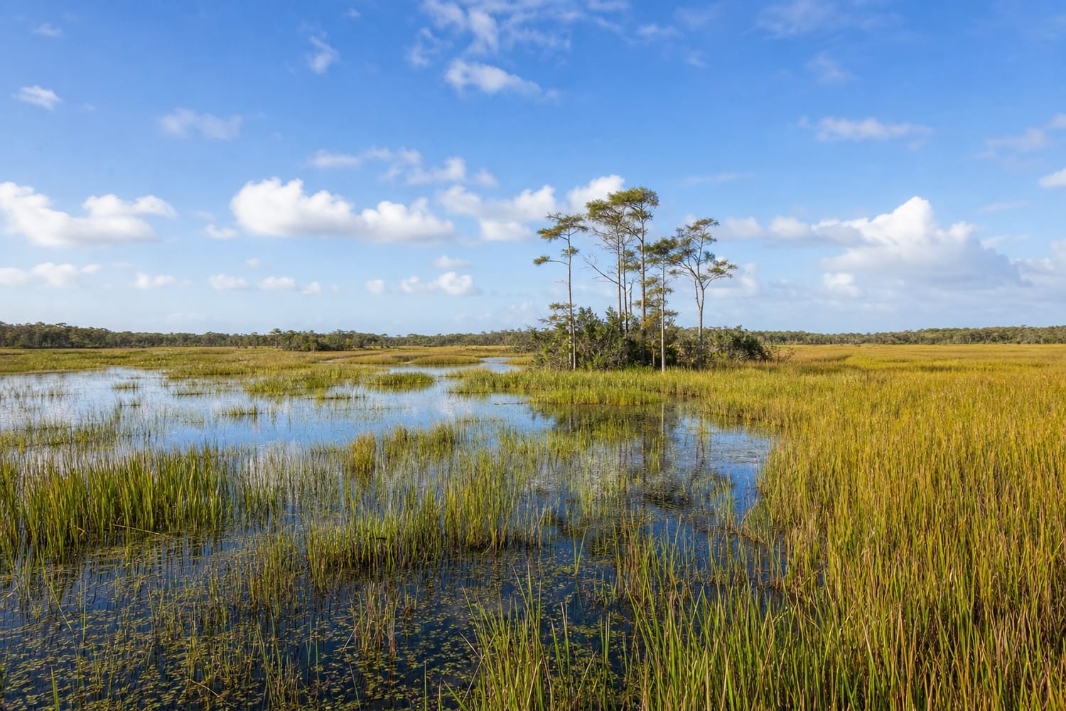 the-everglades-united-states