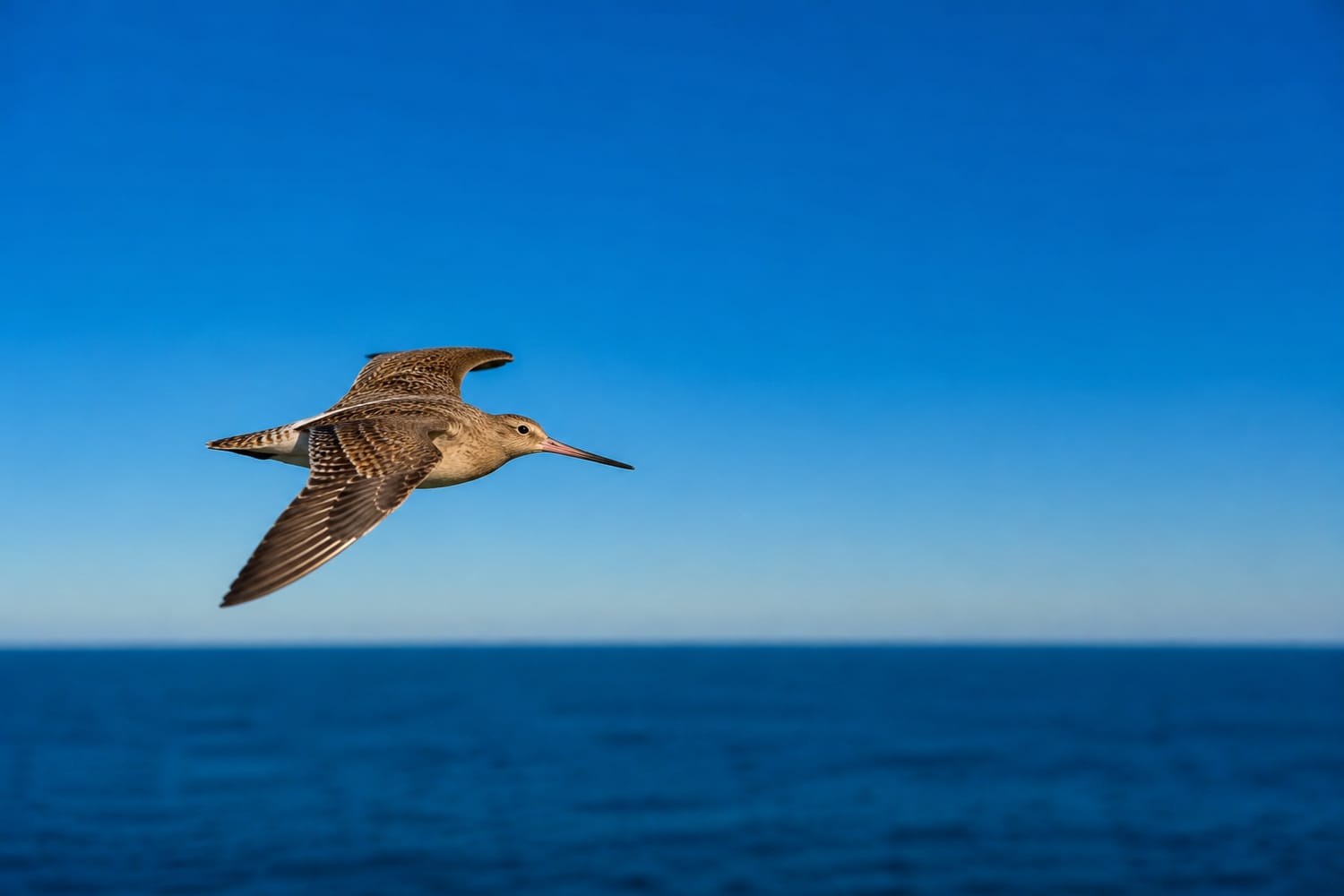 the-pacific-crossing-that-puts-it-in-perspective