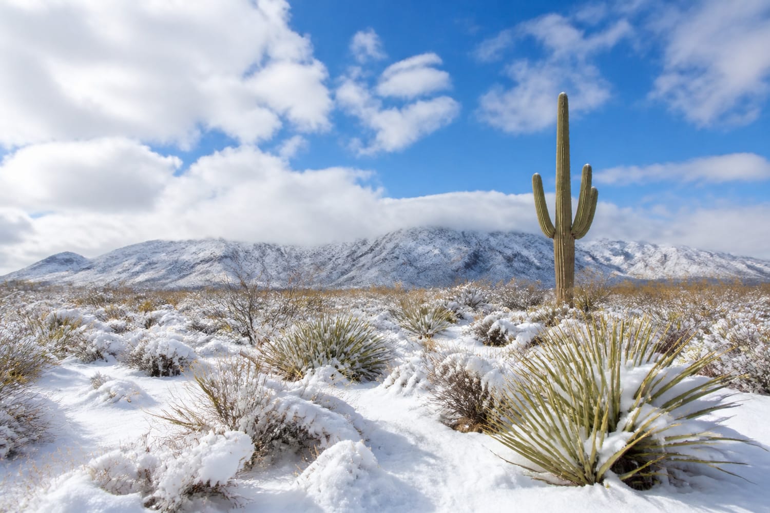 the-two-ingredients-snow-needs