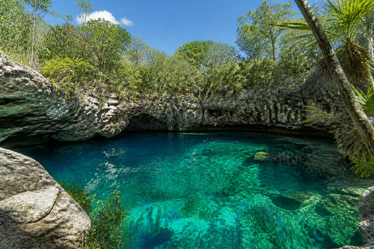 the-yucatans-flooded-cenotes-mexico