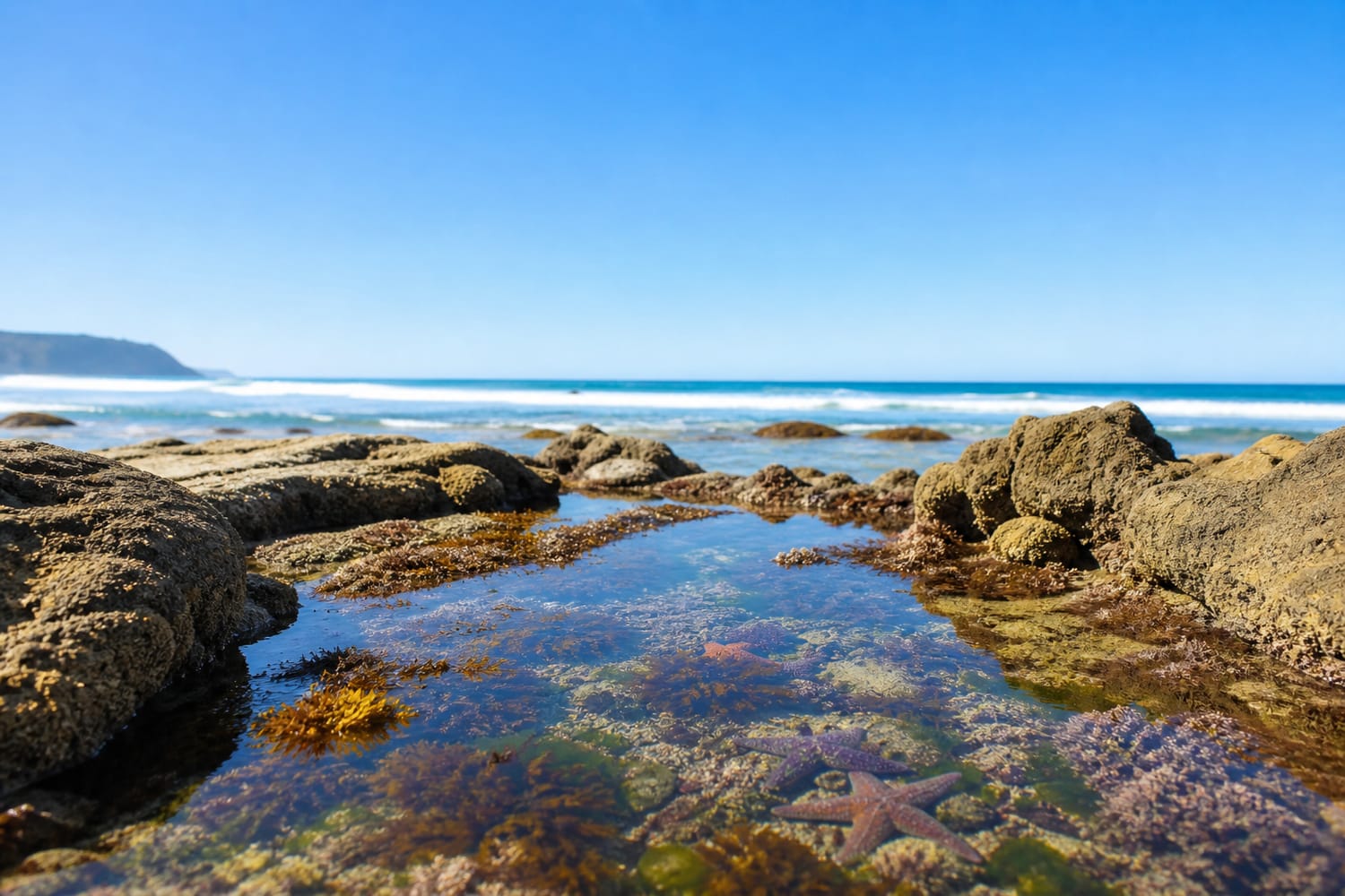 why-low-tide-is-the-best-time-to-visit