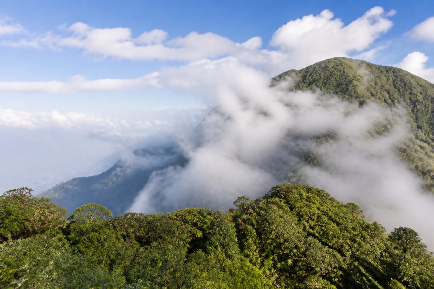 why-mountains-create-cloud-forests